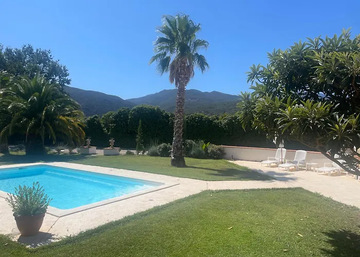 Climatisée Dans Mas Avec Piscine